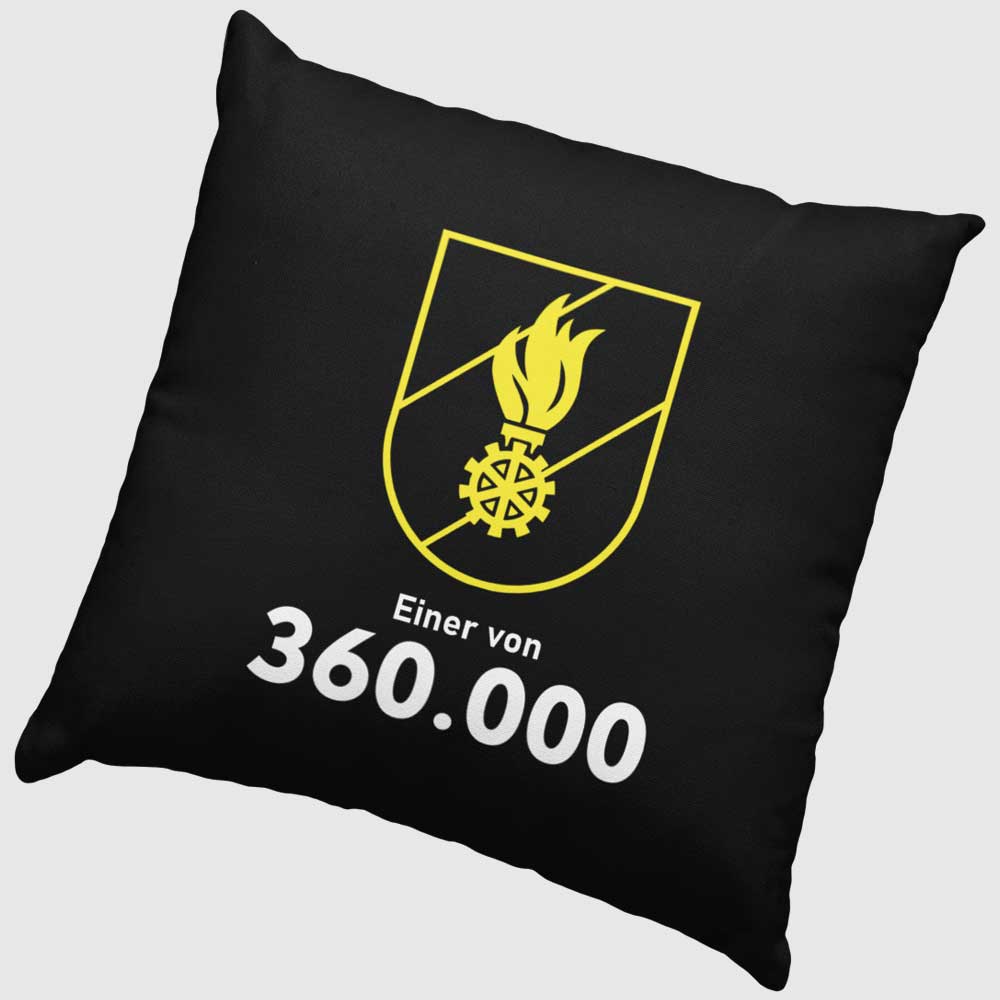 Kissen "einer von 360,000"